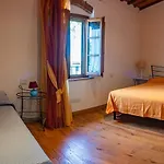 L'allodola Daire